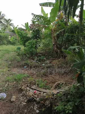 Land for Rent