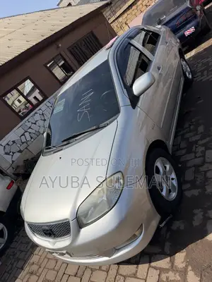 Toyota Vios 2005 Gray