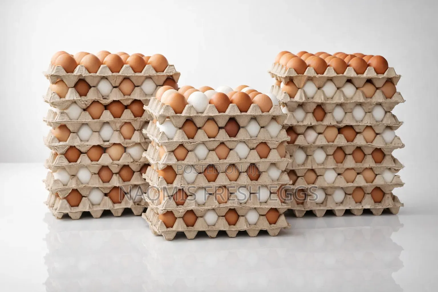 Fresh Eggs