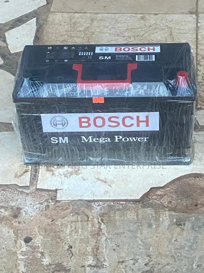 100ah Bosch Car Battery