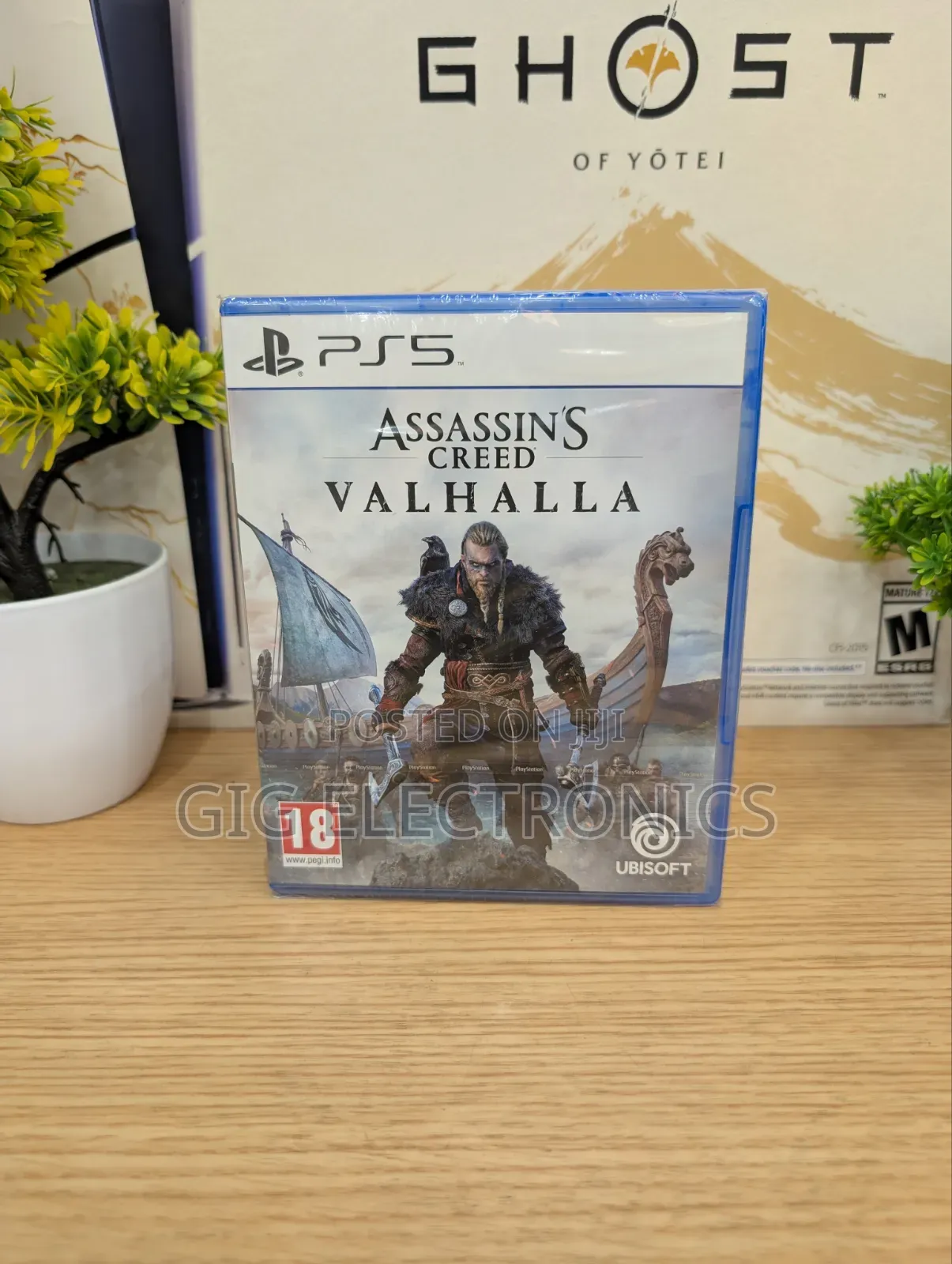 Assassin's Creed Valhalla - Playstation 5