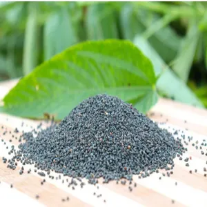 Ayoyo / Ademe/ Jute Seeds