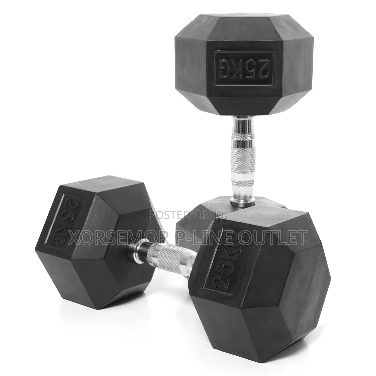 25kg Weight Dumbbell