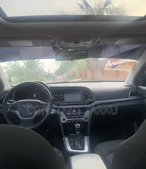Hyundai Elantra Limited Sedan FWD (2.0L 4cyl 6A) 2017 Gray