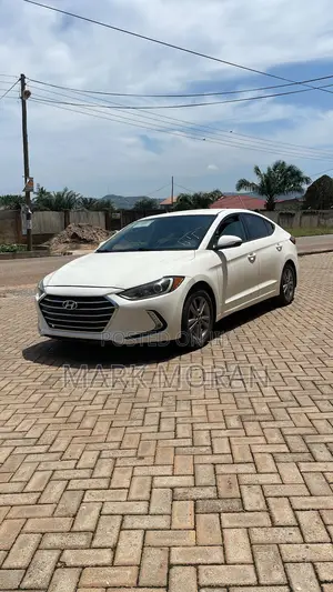 Hyundai Elantra 2016 White