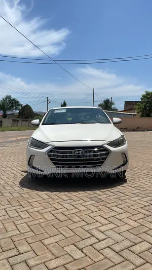 Hyundai Elantra 2016 White
