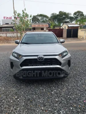 Toyota RAV4 LE 2021 Gray