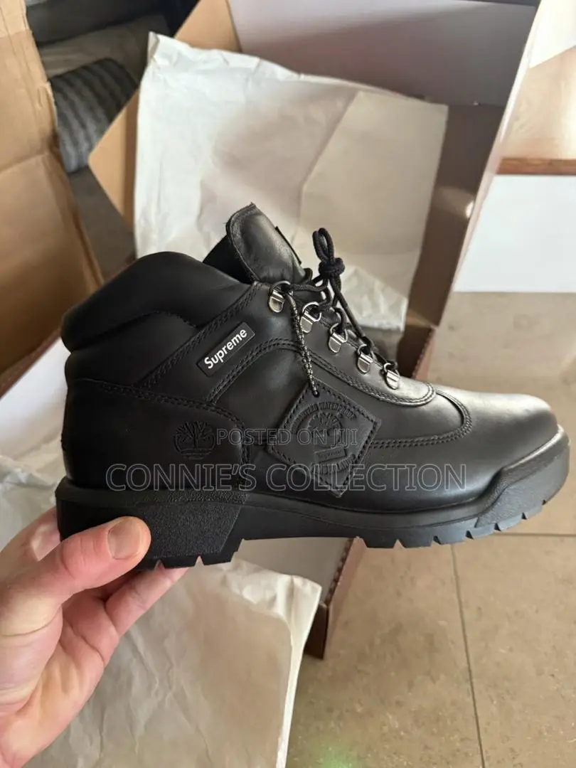 Timberland Men's Waterproof Field Boots
