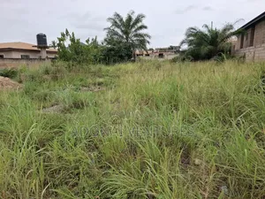 One Full Plot of Land for Sale in Sokoban Ampabame