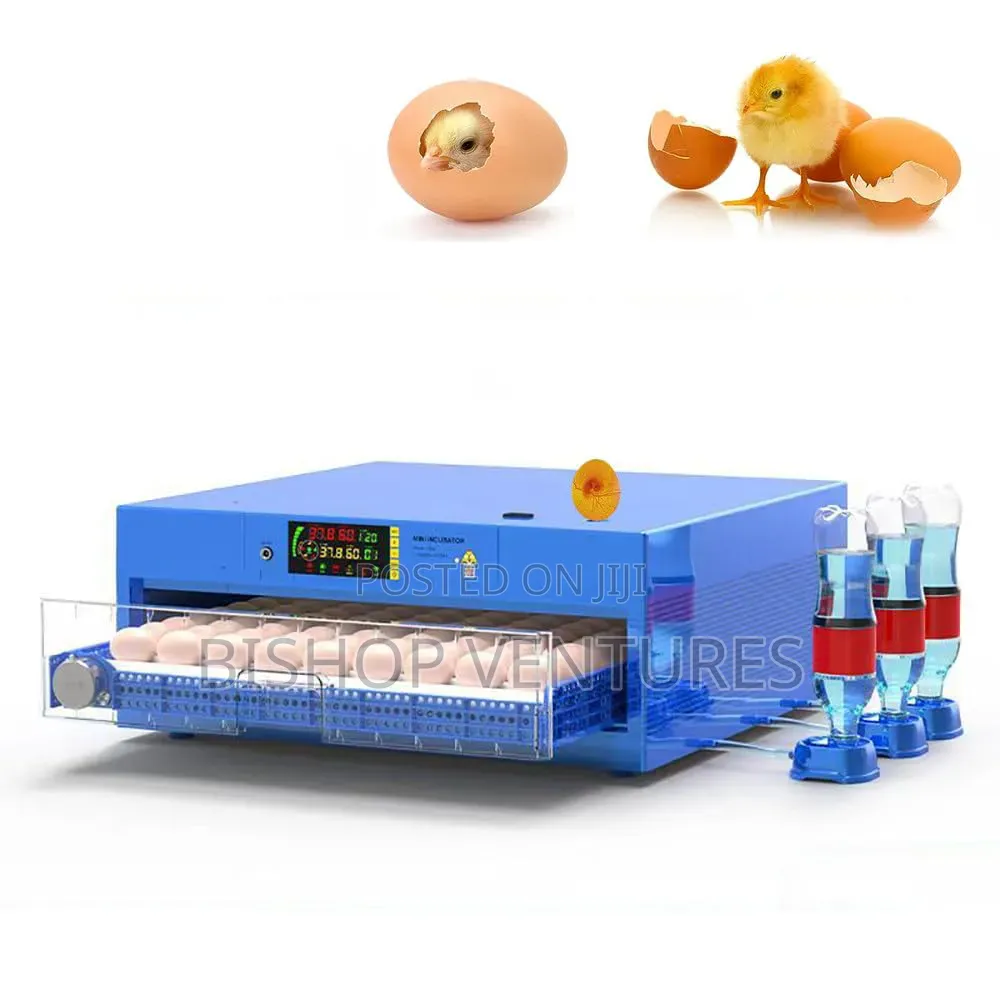 70 Eggs Capacity Incubator