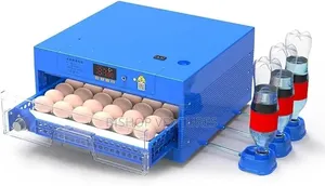 70 Eggs Capacity Incubator