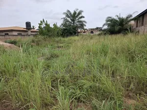 Full Plot of Land for Sale in Sokoban Ampabame