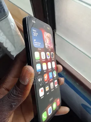 Apple iPhone 14 Pro Max 1 TB Black