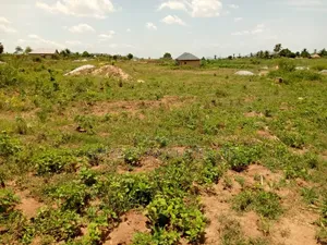 Developing Place of Land at Amasaman-Amuman