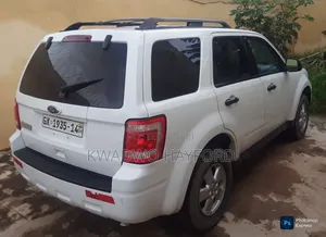 Ford Escape Limited 2010 White