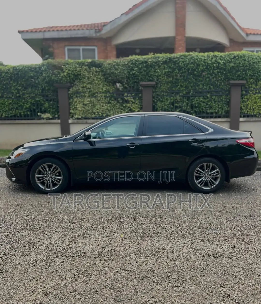 Car Rentals