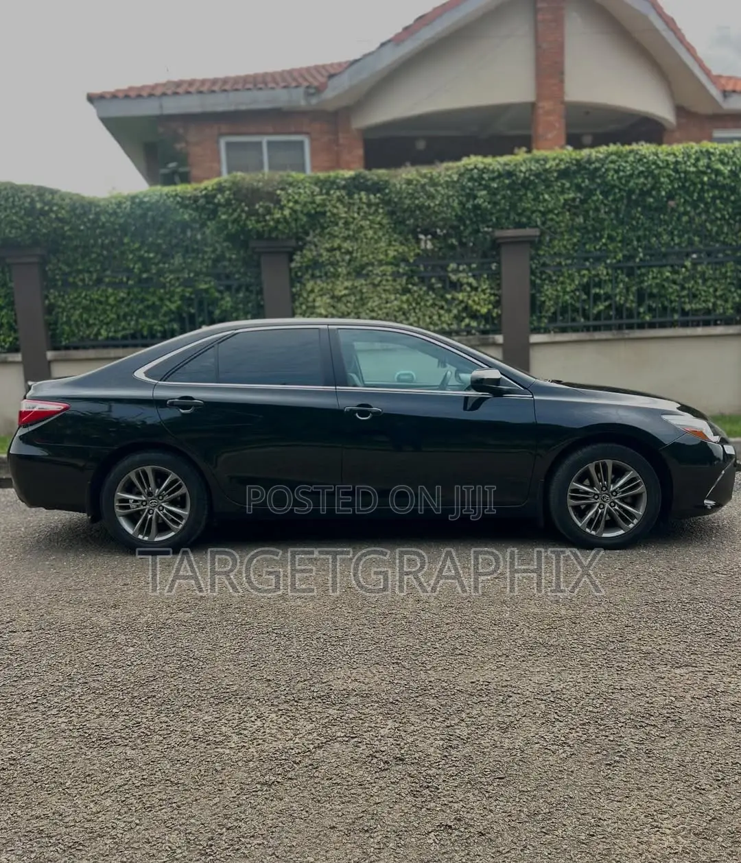 Car Rentals