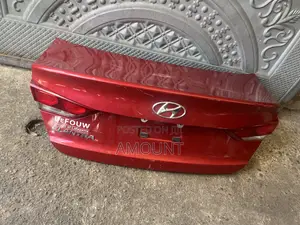 Hyundai Elantra 2017 Back Boot