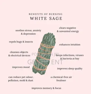 White Sage
