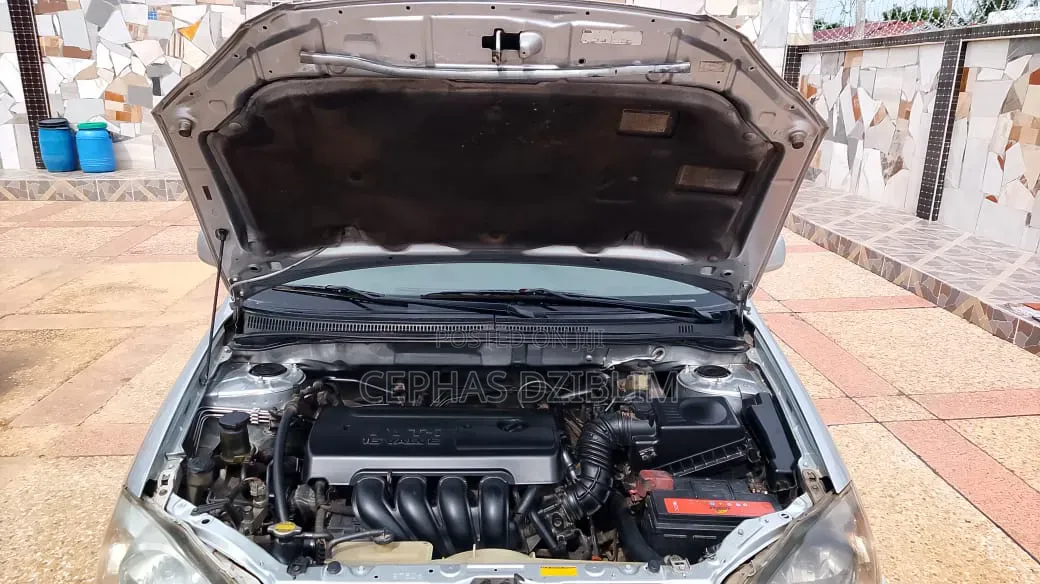 Toyota Corolla LE 2007 Silver