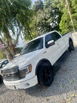 Ford F-150 2014 White