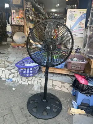 Standing Fan