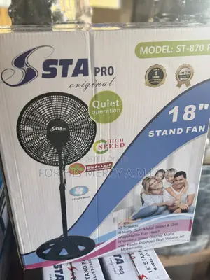 Standing Fan