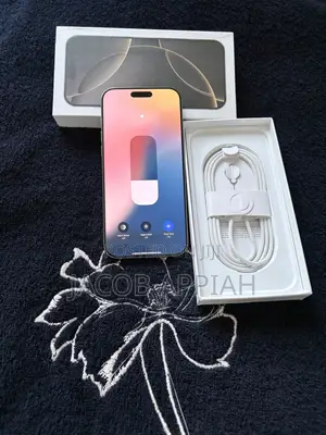 Apple iPhone 16 Pro Max 256 GB Silver