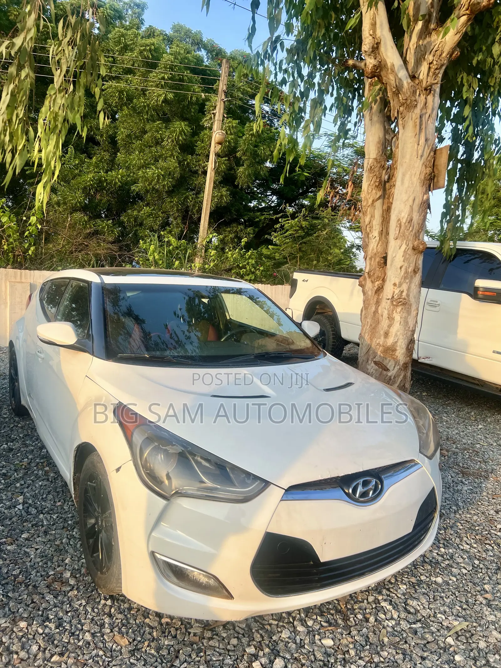 Hyundai Veloster Veloster (Standard) 2013 White