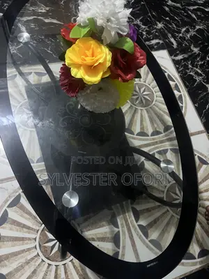 Modern Oval Glass Center Table ——Brand New