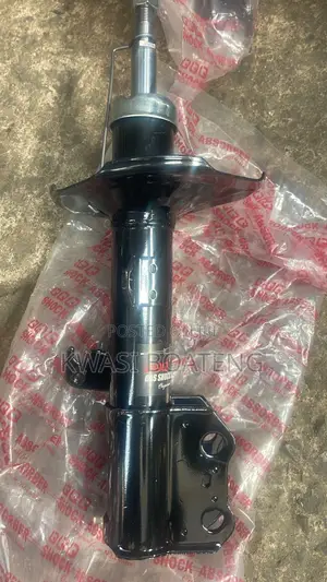 Shocks Absorber