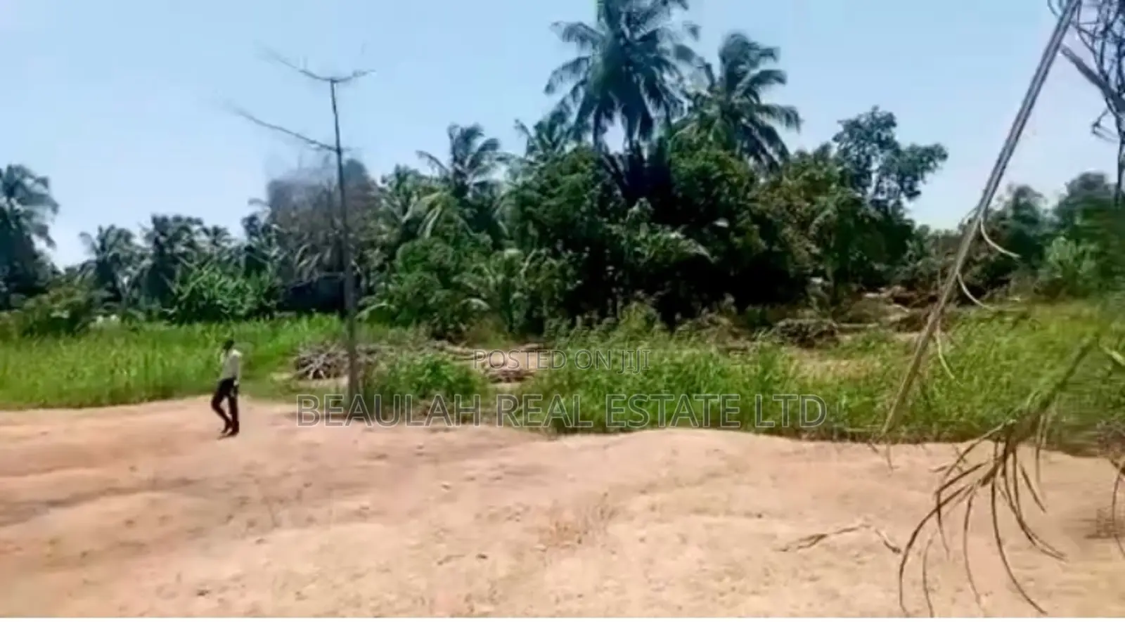Riverfront/Waterfront Land for Sale – Ada East, Anazome, Ghana