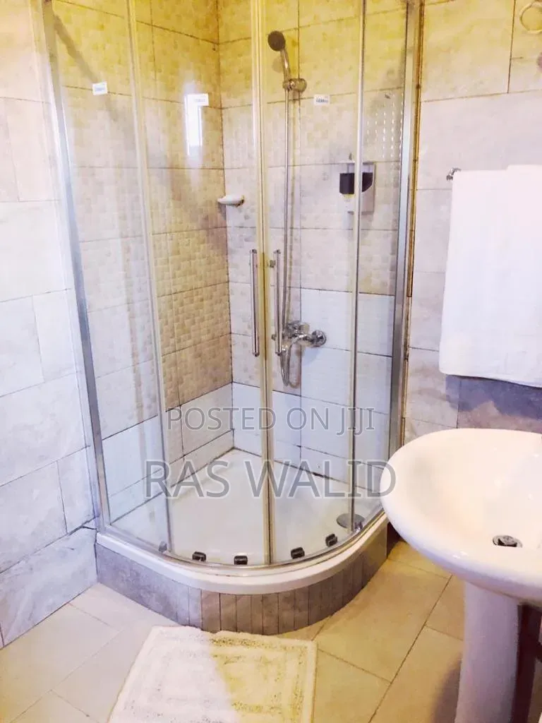 Furnished 3bdrm Apartment in Osu, Accra Metropolitan for rent