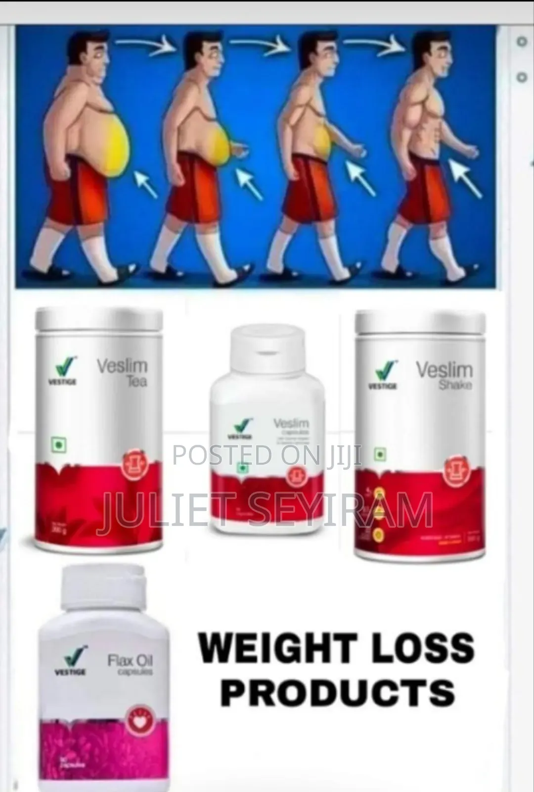 Vestige GTG Pharmaceuti