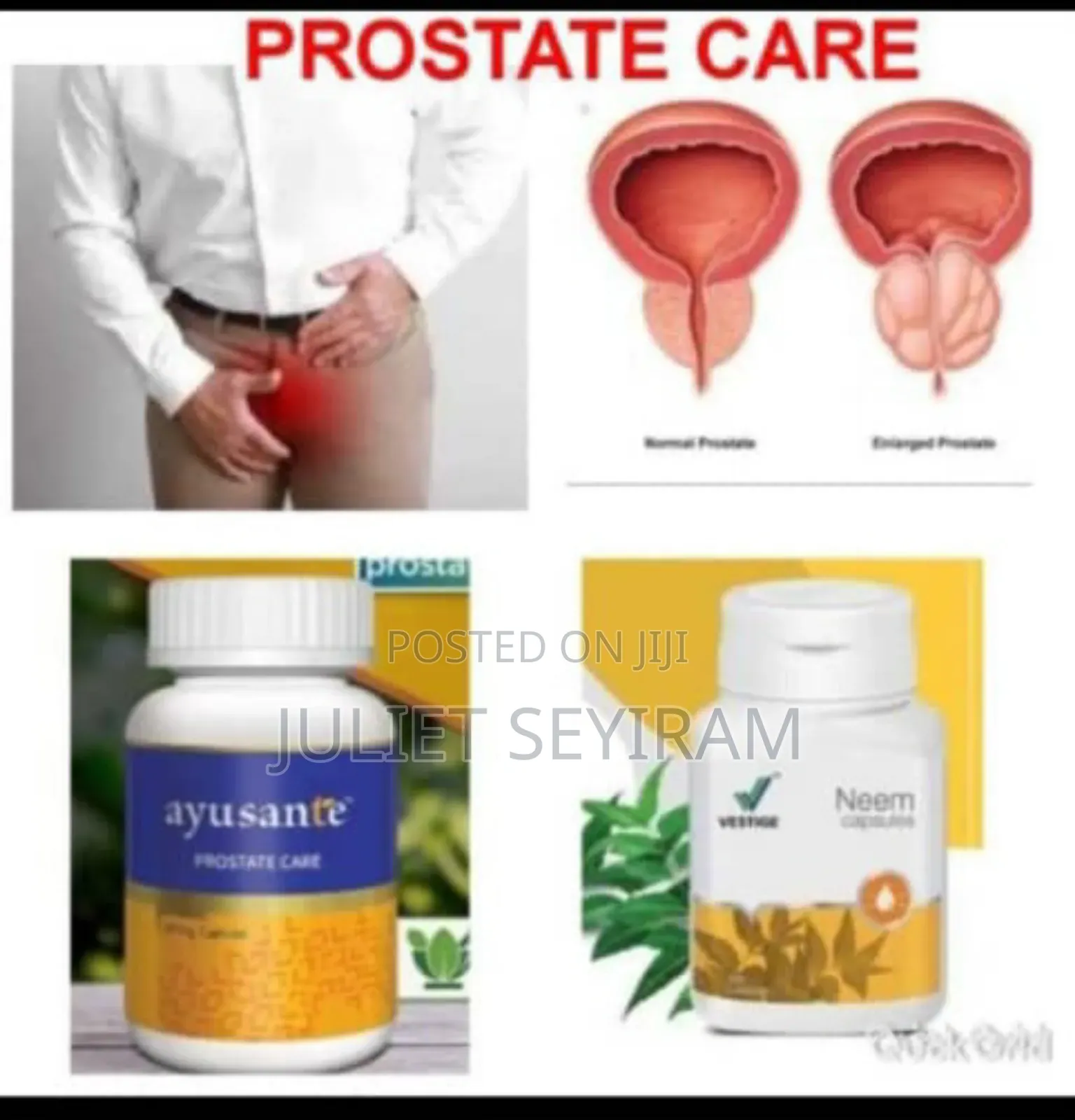 Vestige GTG Pharmaceuti