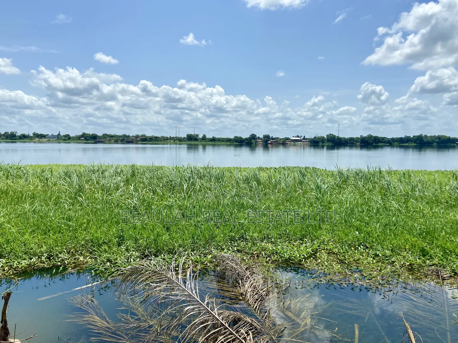 Title-Registered Riverfront Land for Sale – Sokpoe