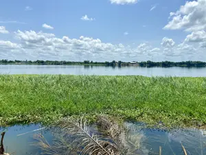 Title-Registered Riverfront Land for Sale – Sokpoe