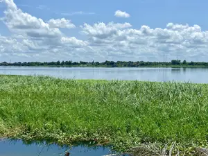 Title-Registered Riverfront Land for Sale – Sokpoe