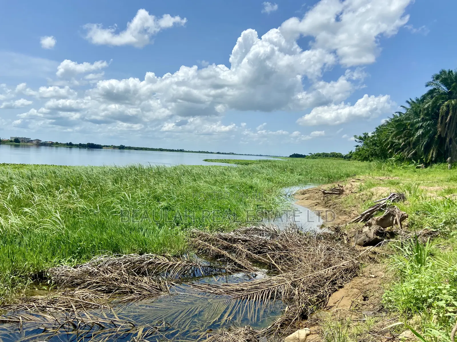 Title-Registered Riverfront Land for Sale – Sokpoe