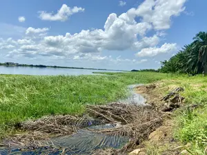 Title-Registered Riverfront Land for Sale – Sokpoe