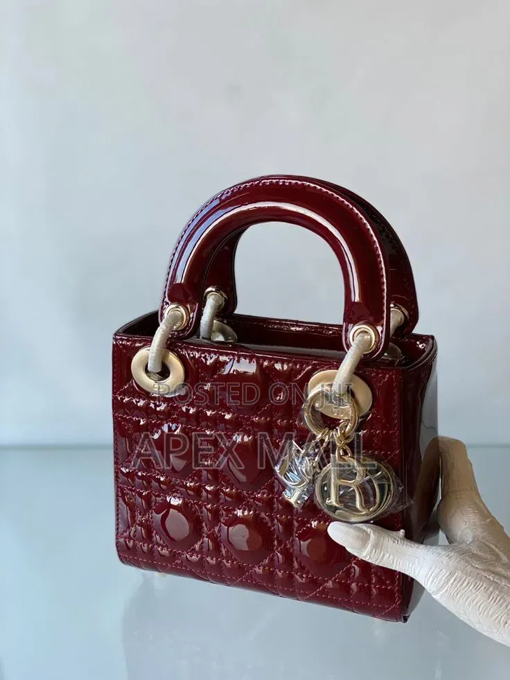 Dior Bag New