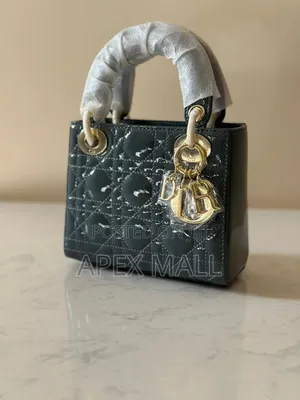 Dior Bag New