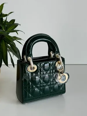 Dior Bag New