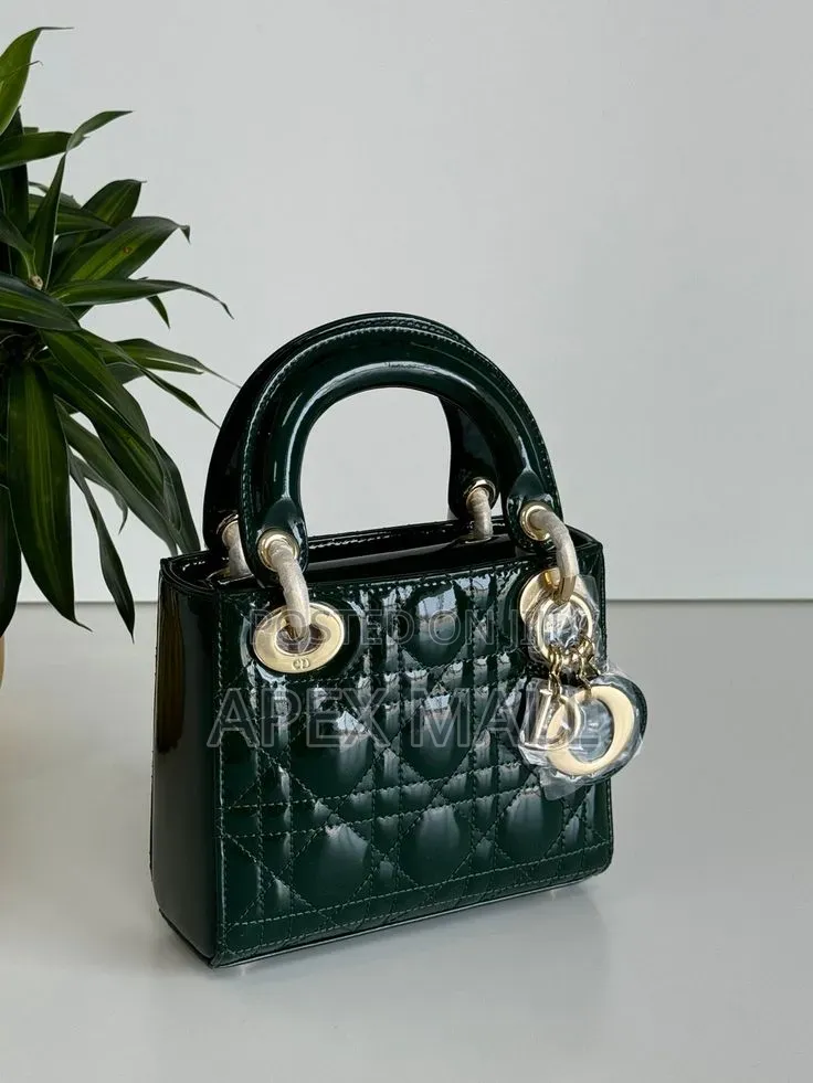 Dior Bag New