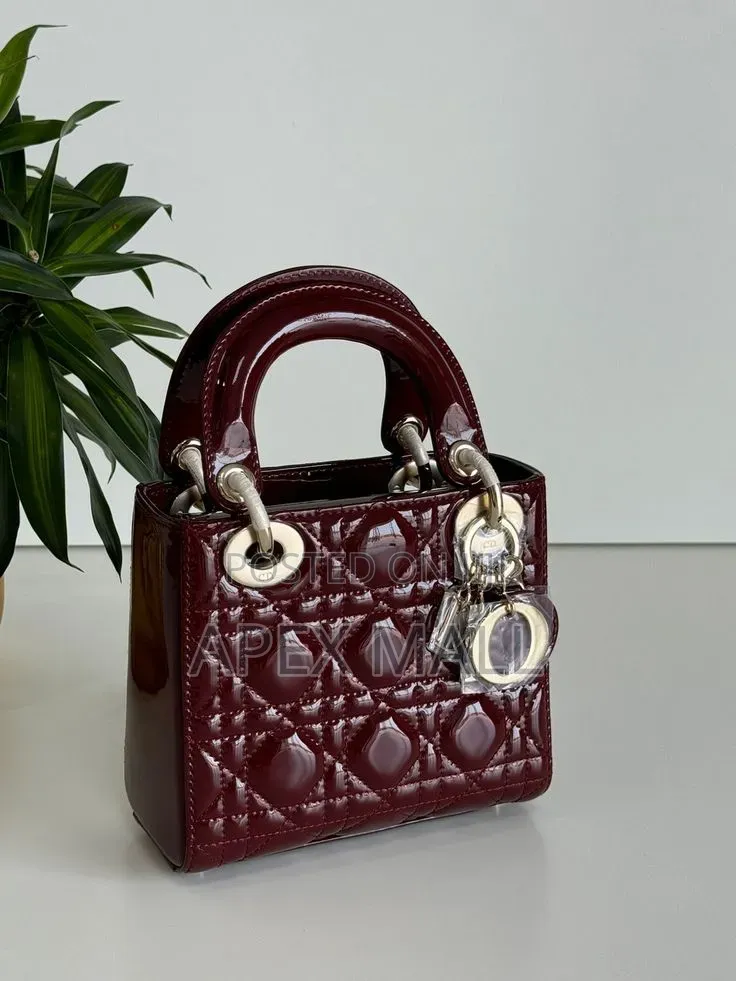 Dior Bag New