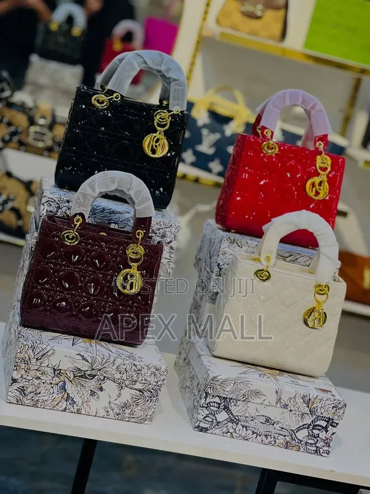 Dior Bag New