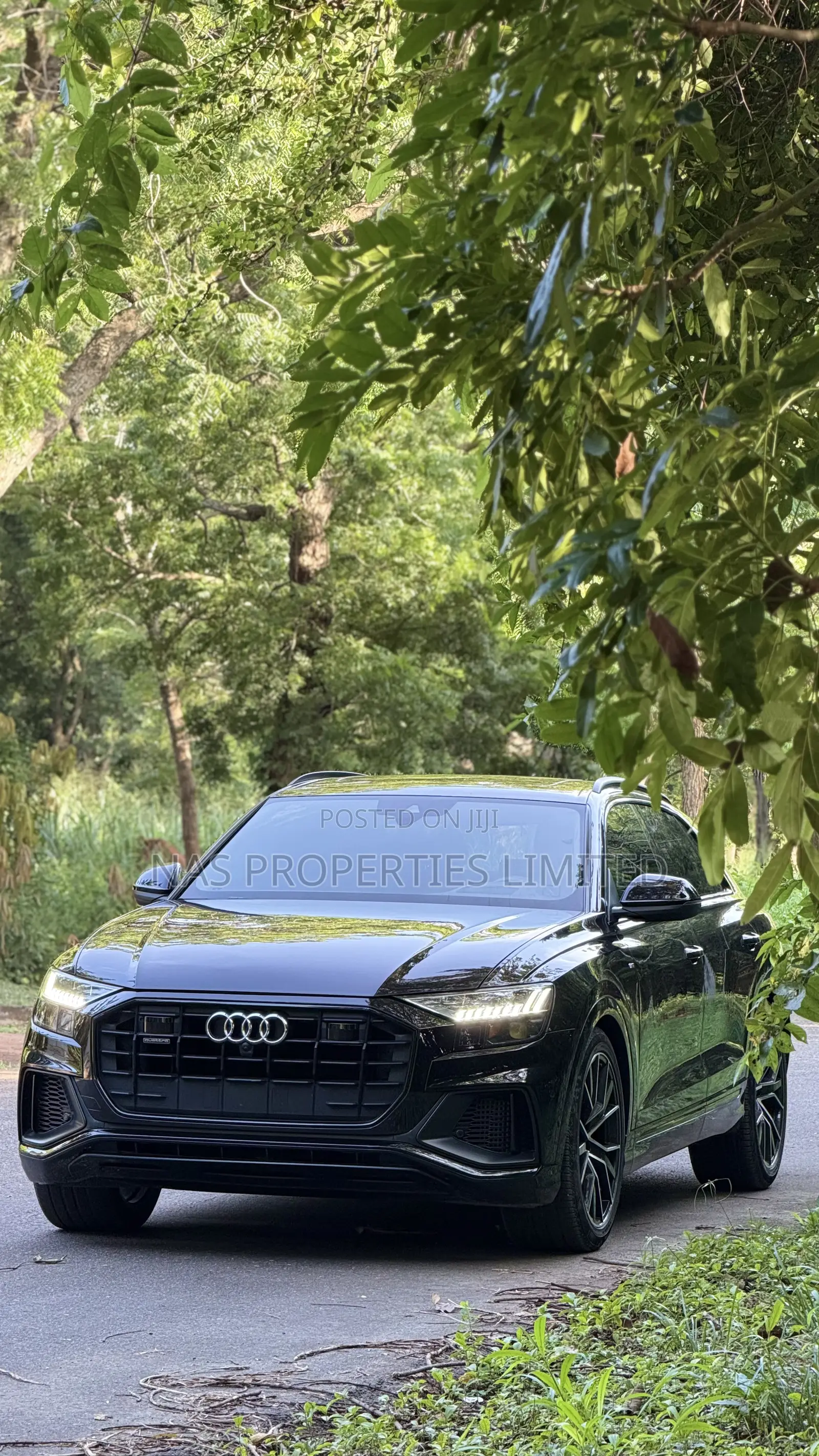 Audi Q8 3.0T Premium AWD quattro 2019 Black