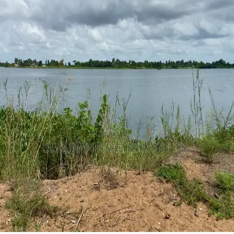 Island Property for Sale – 110 Plots (15 Acres) – Big Ada Ghana