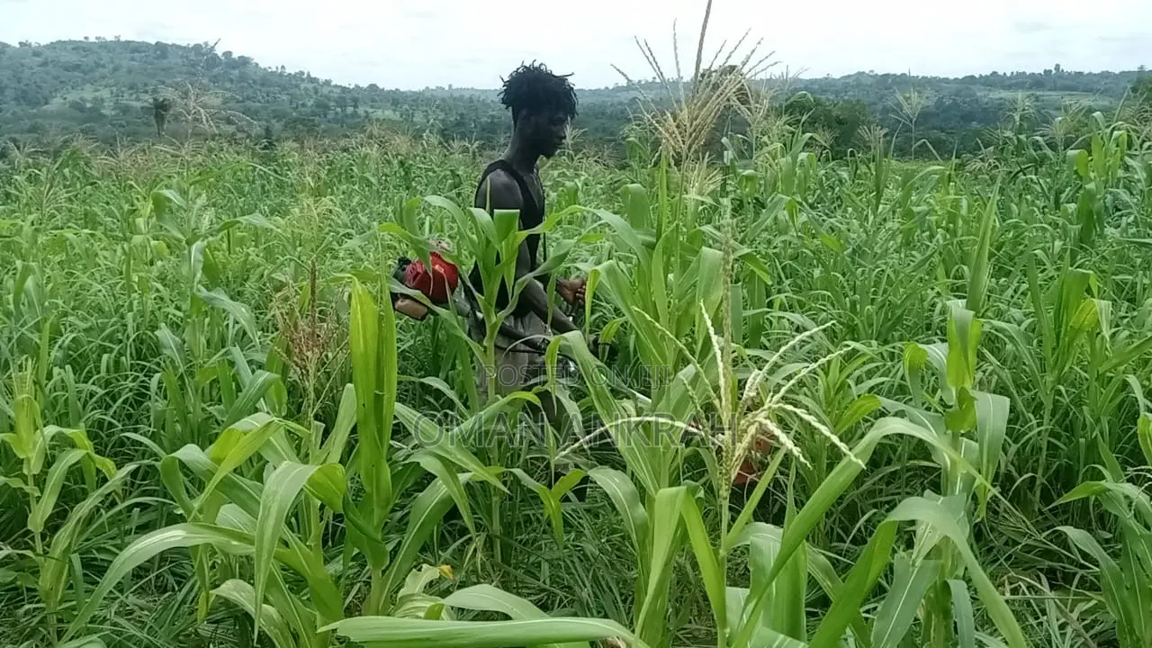 Grass Trimmer and All Garden Works