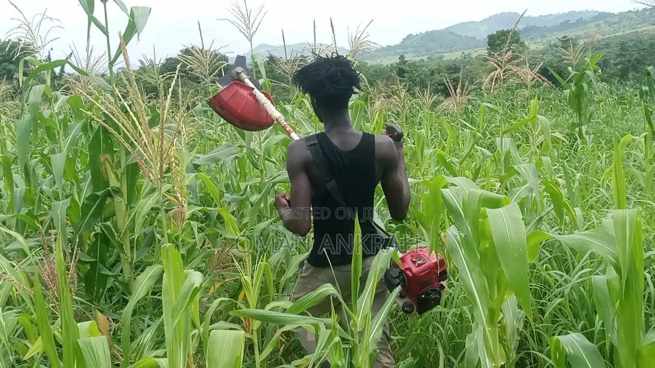 Grass Trimmer and All Garden Works